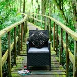 EB94AB20-C2DC-44C0-99A1-2CABABE90082